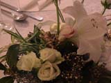 DSC00017