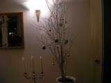 SANY0049