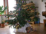 SANY0146